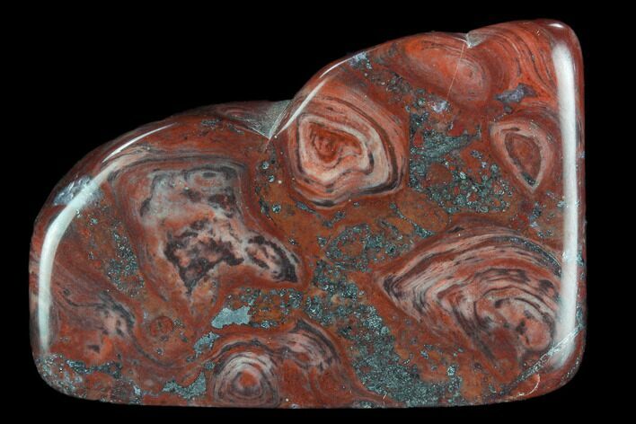 Polished Stromatolite (Collenia) - Minnesota #126077